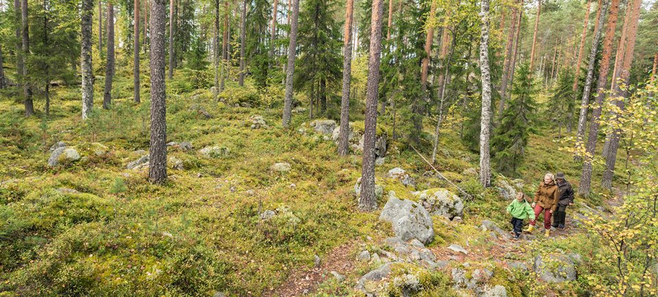 visma sign on suomen metsäkeskuksen käytössä